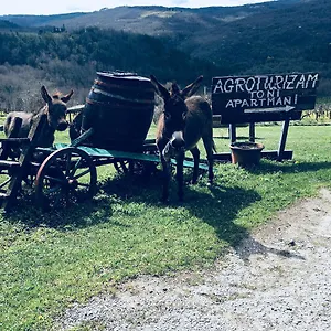 Agroturizam Toni , Motovun Kroatië